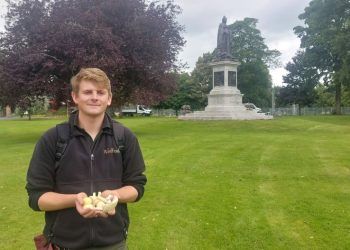 Meet the man teaching people to forage for food in a Carlisle park