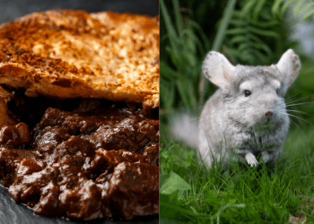 Pies for the prize – the game I saw