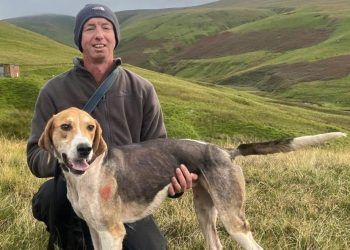 Fellside fixture for hounds