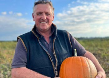 Spooktacular first for Walby Farm Park – Pumpkin picking after dark