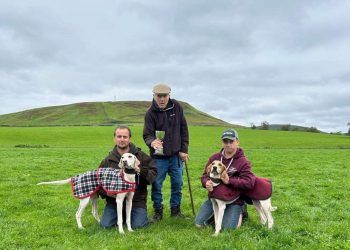 Hounds compete at Teviot Head Show