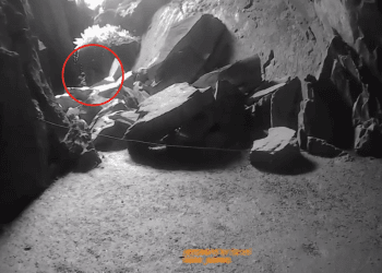 Lake District caves branded as one of UK’s most haunted places by paranormal investigator