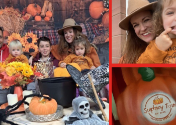 West Cumbrian family farm opens new pumpkin patch