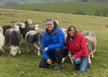 campaign-to-put-herdwick-wool-fabrics-from-the-lake-district-on-the-map 
