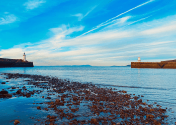 WATCH: Dolphins spotted near Whitehaven harbour