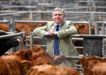 south-cumbrian-auction-mart-to-close-after-almost-19-years