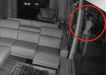VIDEO: CCTV footage released after window kicked in at Carlisle store