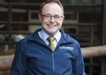 What does the change in basis period mean for me and my farming business?
