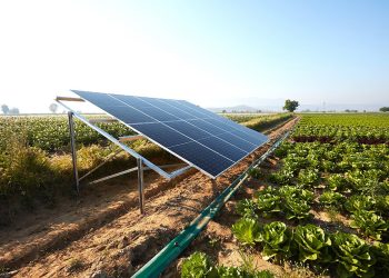 How to make the most of the solar energy boom
