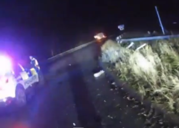 WATCH: Handcuffed Kendal driver steals police car with lights and sirens