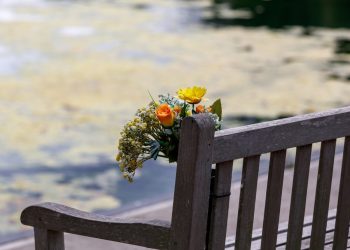 Memory garden set up at Carlisle United’s Brunton Park
