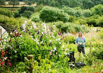 cumbrian-flower-farm-first-in-uk-to-be-awarded-sustainability-status