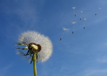 Can your business brave the future economic headwinds?