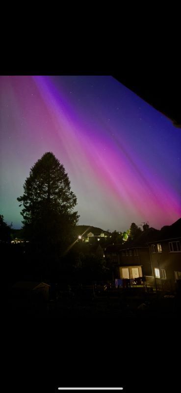 Kendal. Picture: Charlotte Park